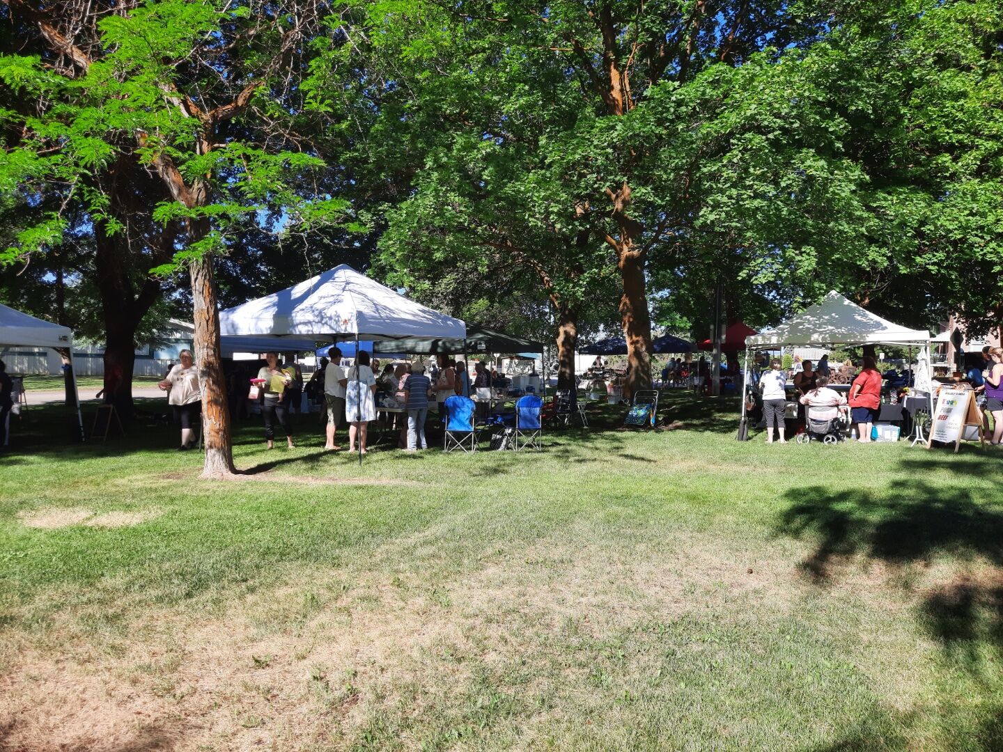 This weekend's Farmers Market was a popular event to get out and experience in Waterville..jpeg